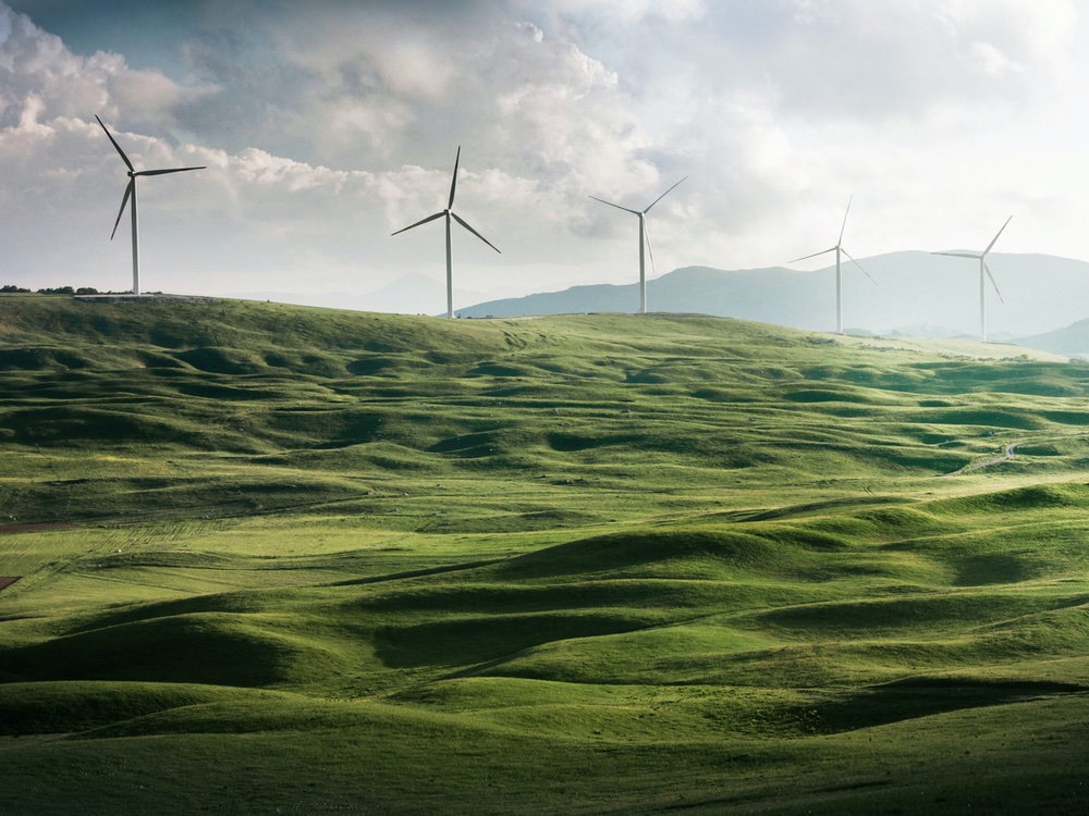 Windpark auf grün bewachsenem Hügelkamm